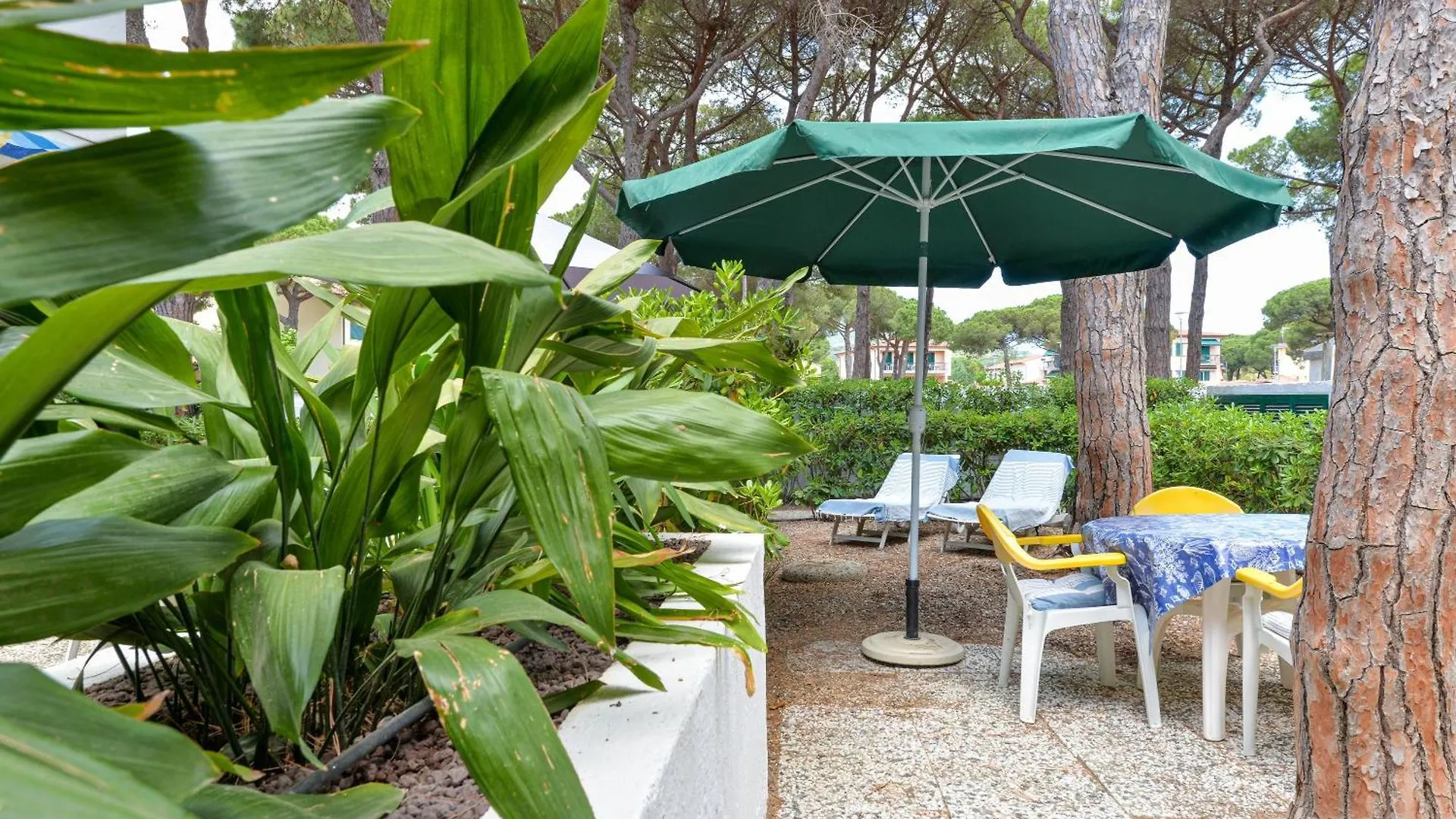 아파트 Villa Fantagali Apt 502 마리나디캄포